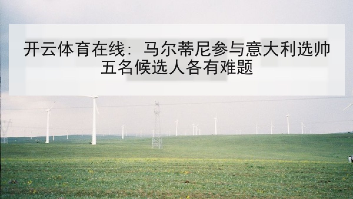 开云体育在线: 马尔蒂尼参与意大利选帅五名候选人各有难题