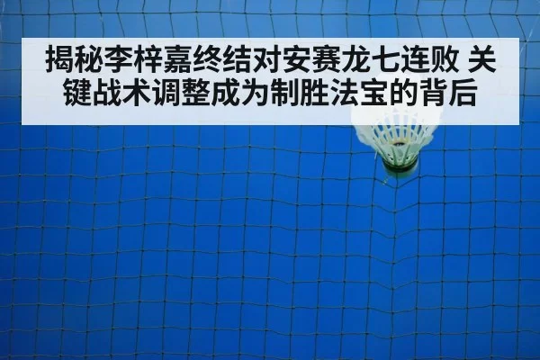 badminton net play