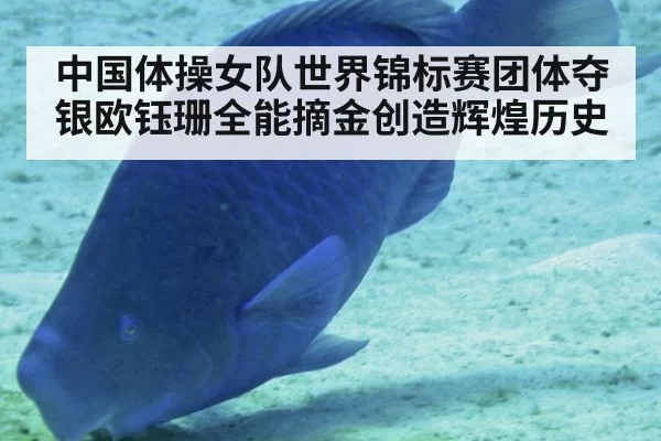 中国体操女队世界锦标赛团体夺银欧钰珊全能摘金创造辉煌历史